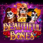 Beautiful Bones game cover